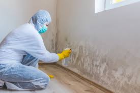 Best Mold Odor Removal Services  in Oak Ridge, FL