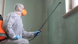 Best Mold Remediation for Healthcare Facilities  in Oak Ridge, FL