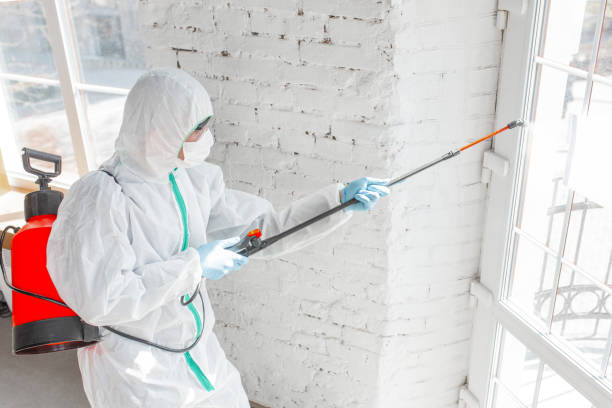 Best Mold Prevention Services  in Oak Ridge, FL