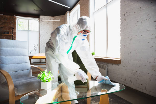 Mold Odor Removal Services in Oak Ridge, FL