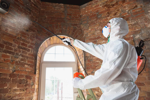 Best Forensic Mold Investigation  in Oak Ridge, FL