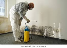 Best Asbestos and Lead Testing During Mold Inspection  in Oak Ridge, FL